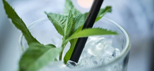 Mojito Cocktail